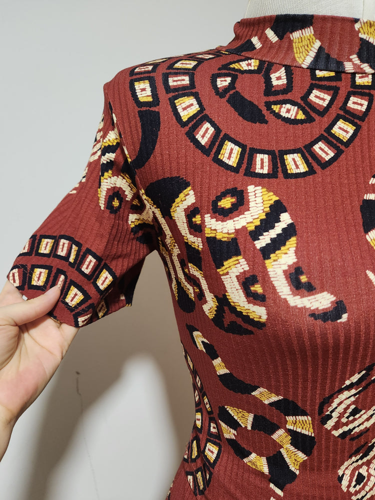 Conjunto Farm Cropped e Saia Estampa Cobra