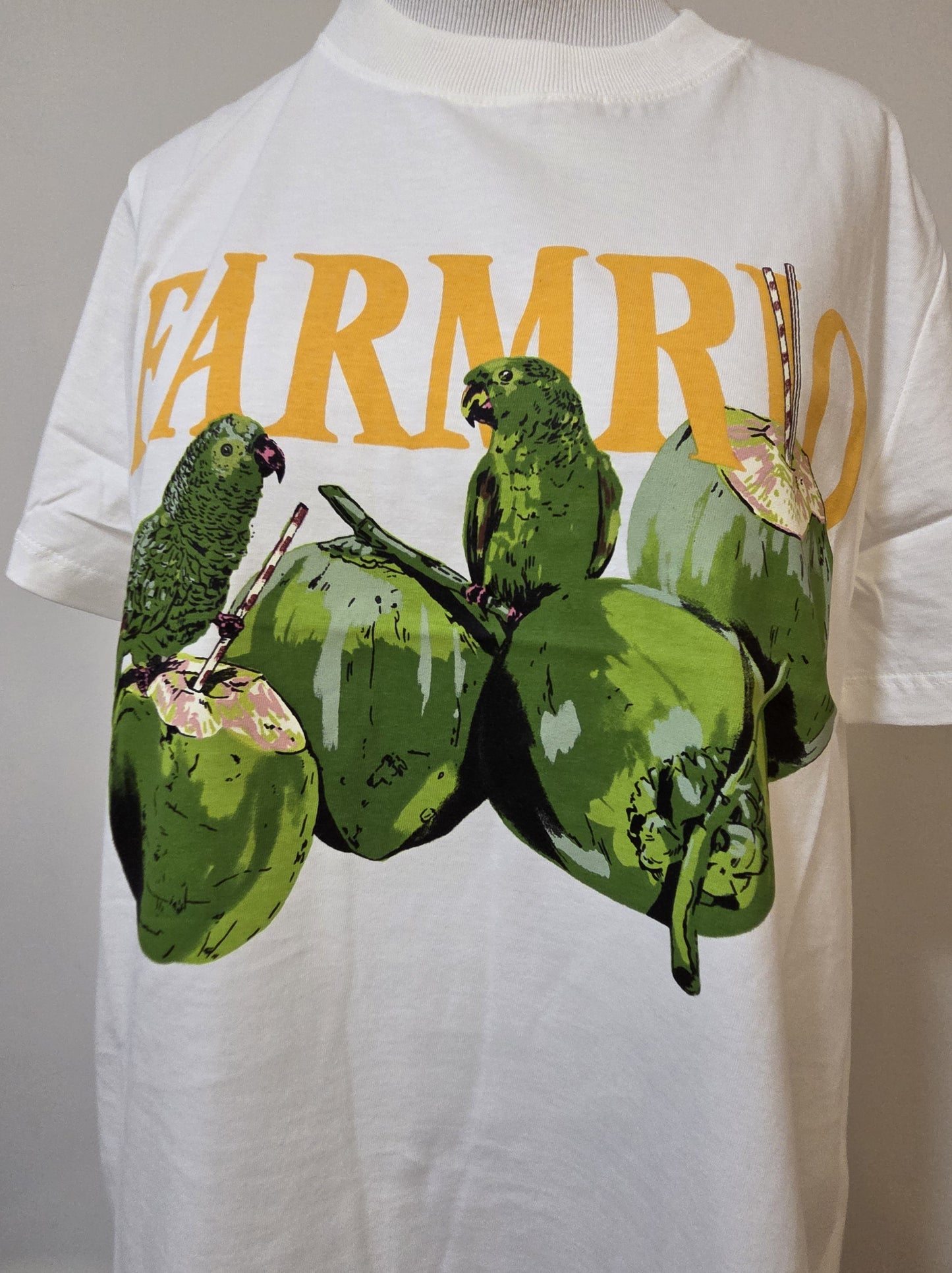 Camiseta Farm Papagaios e Água de Coco